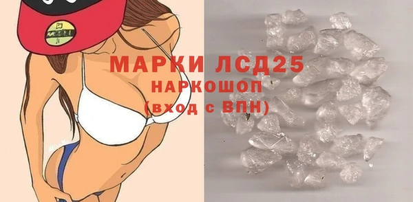 прущие грибы Володарск