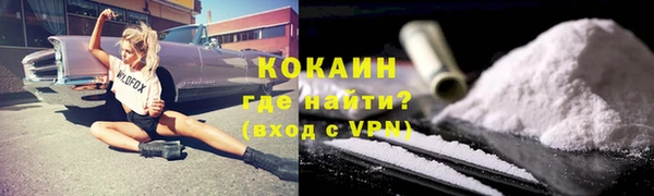 прущие грибы Володарск
