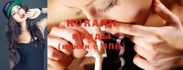 прущие грибы Володарск