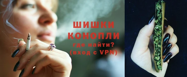 прущие грибы Володарск
