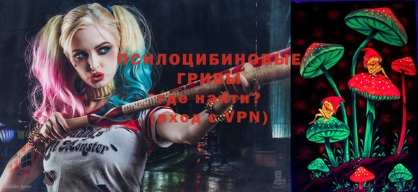 прущие грибы Володарск