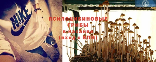 прущие грибы Володарск