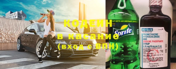 прущие грибы Володарск