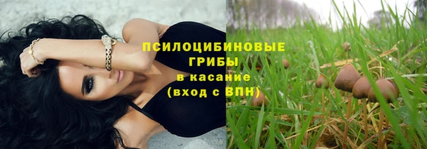 прущие грибы Володарск
